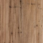 Blackbutt - feature (quarter) - Timber Veneer & Plywood Species