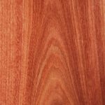 Jarrah (Crown) - Timber Veneer & Plywood Species