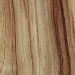 Laurel, camphor (Quarter) - Timber Veneer & Plywood Species