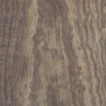 Black Bean, Crown - Timber Veneer & Plywood Species