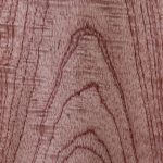 Red cedar crown - Timber Veneer & Plywood Species