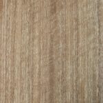 Spotted Gum (Quarter) - Timber Veneer & Plywood Species